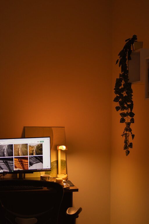 Tips for Creating a Comfortable and Productive Home Office Environment